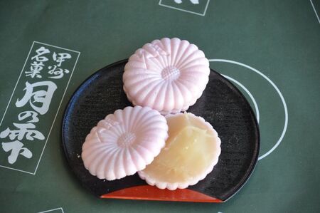 三色菊最中とどら焼き　合計１０個入り　最中 どら焼き 和菓子 お茶菓子 セット 数量限定 計10個入り 小豆粒餡 白餡 柚子餡 粒餡 贈答品 引菓子 お供え物 山梨県 北杜市 ギフト 人気 バレンタイン チョコ以外 ホワイトデー お返し [h279]