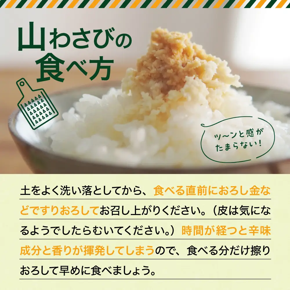 北海道芽室町 十勝産山わさび（土付き3kg）北海道芽室町 十勝産山わさび（土付き1kg）ワサビ わさび 生わさび 生 西洋わさび 新鮮 薬味 調味料 産地直送 お取り寄せ グルメ 北海道 十勝 芽室町me064-002c