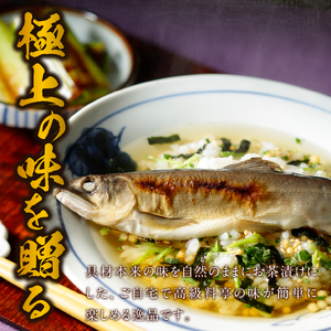 ＜山年園＞【高級】鮎茶漬け【ギフト包装済み】