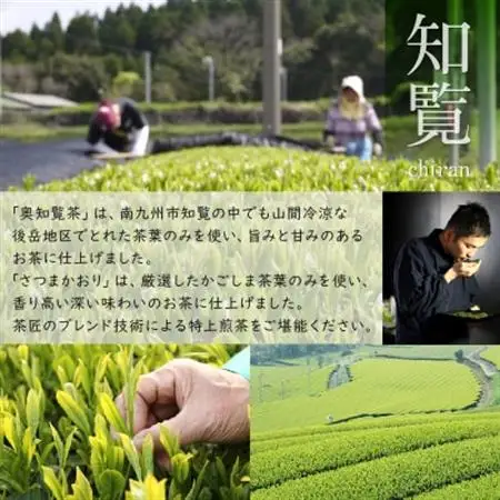 奥知覧茶と鹿児島茶 特上煎茶セット【1185846】