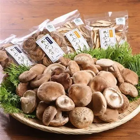 生しいたけ1kg・乾燥しいたけ4袋【配送不可地域：離島・北海道・沖縄県・東北・関東・信越、北陸・東海・近畿・四国】【1185850】