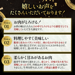 A5・A4ランク　石川県産　黒毛和牛　切り落とし　能登牛 お肉 牛肉 