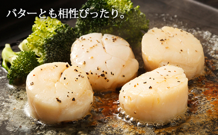 一夜干さば5パック　ホタテ貝柱450g さば ほたて 帆立 鯖 玉冷 魚介類 魚介 干物 サバ 