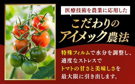 【先行予約】V トマト 糖度8度以上 800g【株式会社ブイ・テクノロジー】 [AKBL004]