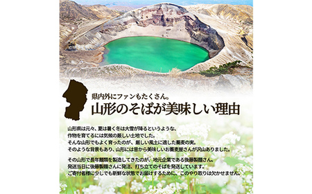 太打ち田舎 板そば 6人前 タレ付き 山形直送 F2Y-3757