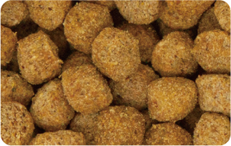 H-208　日本犬 柴専用 成犬用　チキン味 6kg