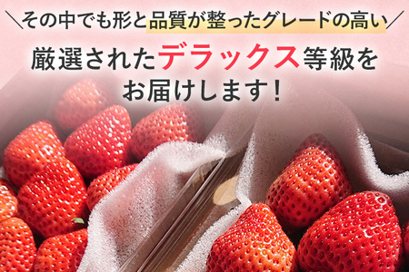 【2027年発送先行予約】あまおうデラックス（約250‐270g x2パック） お取り寄せグルメ お取り寄せ 福岡 お土産 九州 福岡土産 取り寄せ グルメ 福岡県