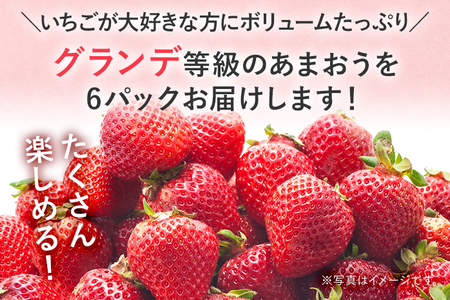 【2027年発送先行予約】あまおうボリュームセット(約250‐270g x G6パック) お取り寄せグルメ お取り寄せ 福岡 お土産 九州 福岡土産 取り寄せ グルメ 福岡県