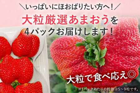 【2027年発送先行予約】厳選大粒あまおう(約250‐270g x 4パック) お取り寄せグルメ お取り寄せ 福岡 お土産 九州 福岡土産 取り寄せ グルメ 福岡県