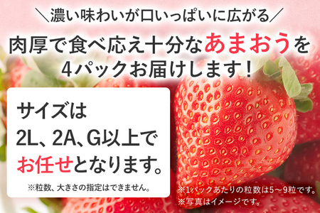 【2027年先行予約】春のあまおう(G規格以上約250‐270g x 4パック) お取り寄せグルメ お取り寄せ 福岡 お土産 九州 福岡土産 取り寄せ グルメ 福岡県