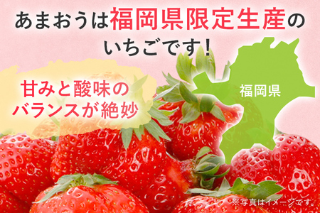 【2027年先行いちご定期便】 あまおう 3パックｘ3回 （1月下旬～、2月～、3月～発送）お取り寄せグルメ お取り寄せ 福岡 お土産 九州 福岡土産 取り寄せ グルメ 福岡県