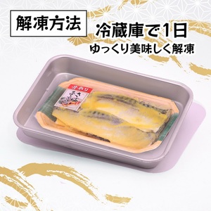 a10-1010　訳あり！！お楽しみ！バラエティ漬魚10パックセット 訳あり