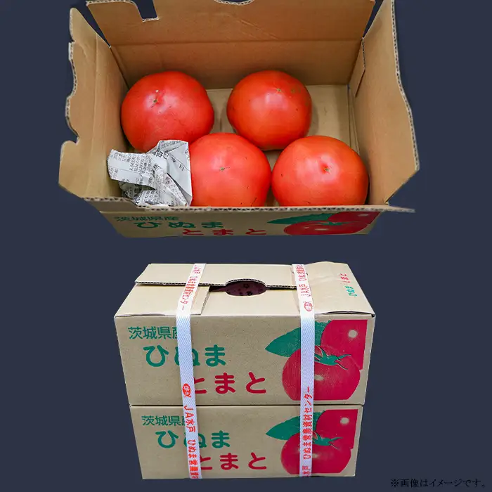 484【訳あり】茨城町産トマト 約2kg JA水戸