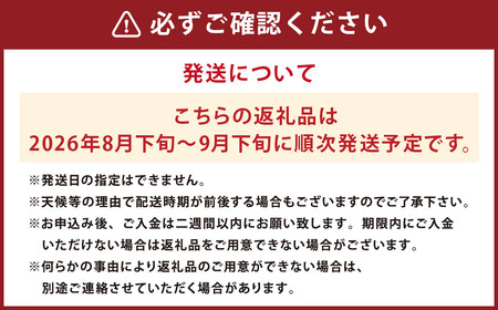長崎県産 シャインマスカット 約1.5kg ぶどう フルーツ【2026年8月下旬-9月下旬迄順次発送予定】