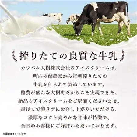 【毎月定期便】カウベルアイスクリーム9種16個セット 新鮮濃厚ミルク 北海道産素材全3回_菓子・スイーツ アイス・ジェラート    定期便 定期便  _【配送不可地域：離島】【4008597】