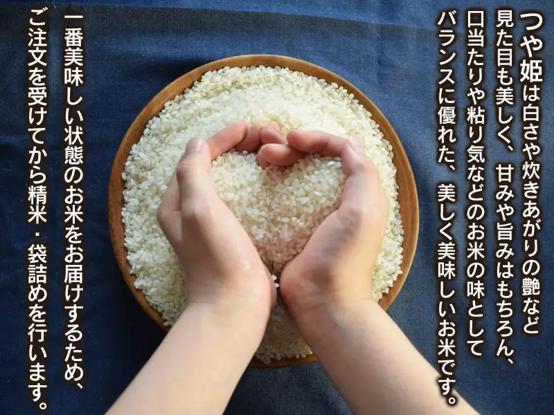 数量限定 【令和7年産】 山形県庄内産 小池半左衛門のお米 特別栽培米 つや姫 精米 5kg (5kg×1袋)