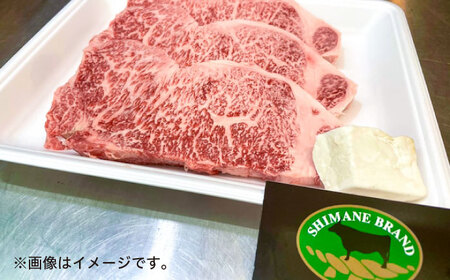 和牛 特選サーロインステーキ 190g×3 しまね和牛 島根県松江市/有限会社神戸屋 [ALGF001] 和牛 和牛