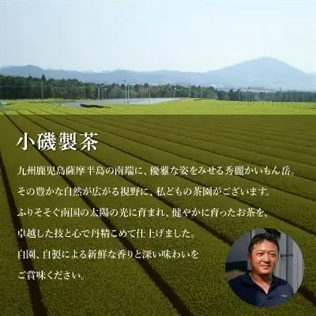 知覧銘茶　かいもんみどり5本セット【1185748】