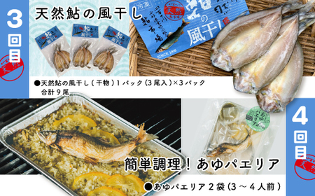 26-851．【4回定期便】鮎づくし！清流四万十川で育った天然鮎の定期便
