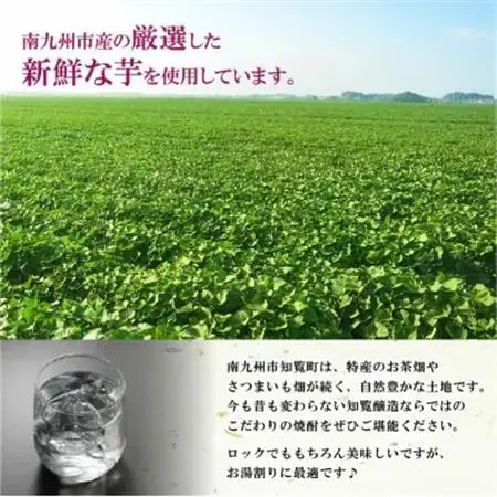 本格芋焼酎とお茶飲み比べCセット【1711001】