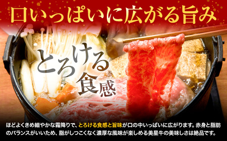 牛肉 ローススライス 肩ロース 美星牛 約400g ハレノヒ良品