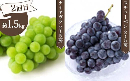 ≪先行予約令和8年度発送≫ みちのく“立秋”詰合せフルーツ定期便 全4回 赤肉メロン メロン 赤肉 デザート フルーツ 果物 くだもの 果実 食品 山形県 FSY-2474