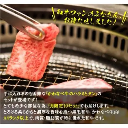 数量限定!かわなべ牛ハラミ・牛タンセット【配送不可地域：離島】【1185840】