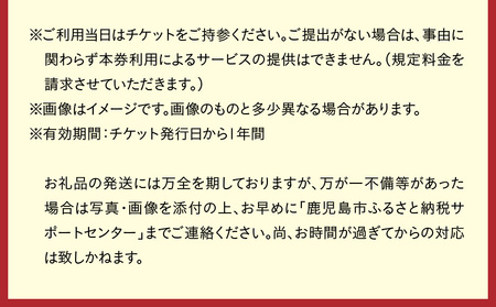 【 昼間 遊覧飛行 】鹿児島満喫コース（ 桜島 ＋ 鹿児島市内 ） セスナ式172型（大人3名まで） K222-FT003