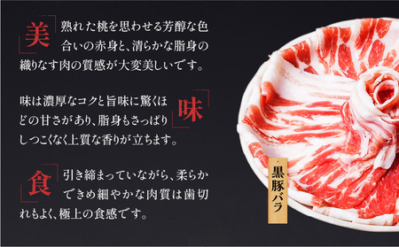 【5営業日以内に発送】黒宝豚のどん薩摩の黄金だししゃぶしゃぶセット 4人前 K227-002_02 肉 豚肉 冷凍 スピード配送 最短 すぐ届く お急ぎ