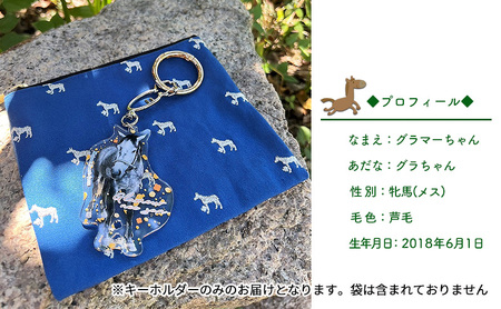 馬 たてがみ 尻尾 手作り レジン キーホルダー ２個(トントントントロ＆グラマー) オリジナル 