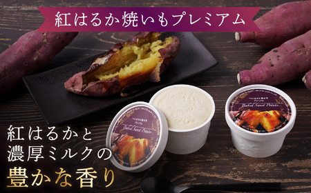 紅はるか 焼き芋 アイス 12個 CDA062 アイス ジェラート 焼き芋 