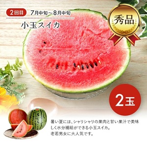 SE0489　【3回定期便】庄内オイシイ夏の便2026 (紅花メロン、小玉すいか、アールスメロン)