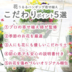 D015花うるるおまかせ寄せ植えﾄﾚｼﾞｬｰBOX[Sｻｲｽﾞ](玄関春夏秋冬ｾｯﾄｷﾞﾌﾄ花ﾌﾗﾜｰｷﾞﾌﾄﾌﾟﾚｾﾞﾝﾄ完成品鉢植えお花誕生日女性寄植え母の日妻ｶﾞｰﾃﾞﾆﾝｸﾞ新築祝い記念日開店祝いｱﾚﾝｼﾞﾒﾝﾄおしゃれ鉢完成品屋外