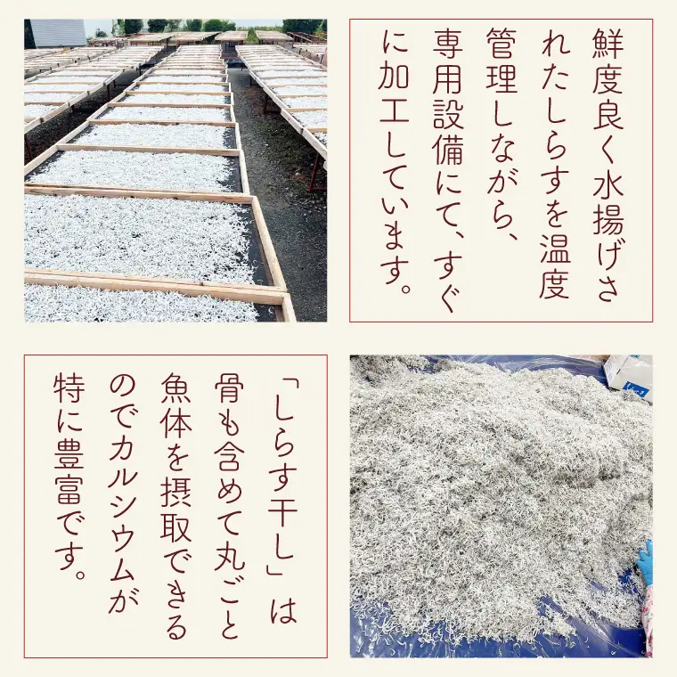 しらす干し 天日乾燥800g（400g×2）【茨城県共通返礼品/北茨城市】  (HY-11)