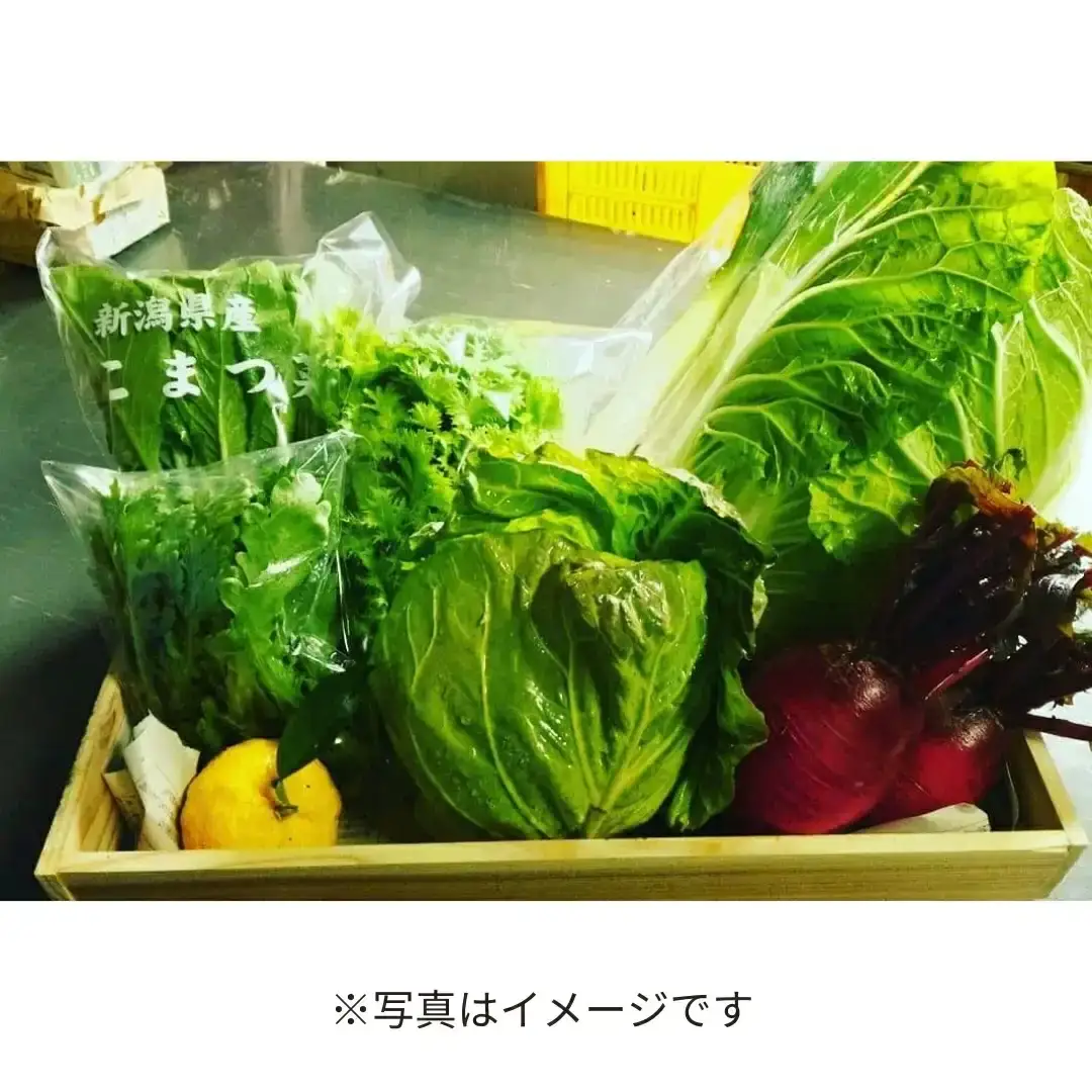 旬の野菜セット(7~8品) 季節の野菜 詰合せ [内山農園] 【011S166】