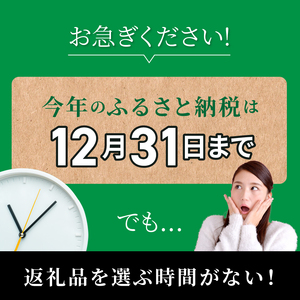 あとからセレクト100万円 N0159-YP009