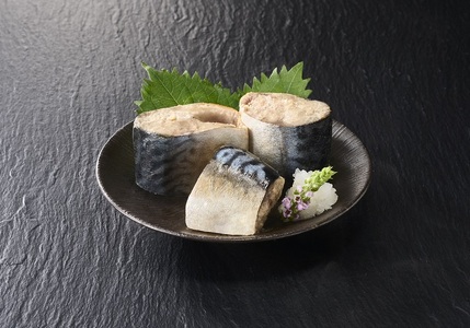 a10-1029　たもすくい網漁 焼津小川さば水煮 8缶セット