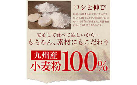 【宮崎空港で大人気!】＜馬渡のもっちり餃子240個＞翌月末迄に順次出荷 餃子の馬渡 ぎょうざ ギョーザ ギョウザ 焼餃子 宮崎餃子 グルメ 国産 特産品 たかなべ 宮崎県 高鍋町 冷凍【TVで話題沸騰！】【c1112_mw】