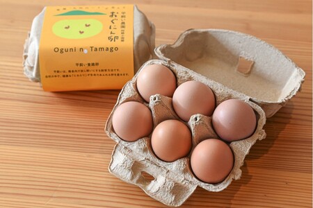【南小国町産】平飼い養鶏で育った「おぐにん卵」 32個（30個+割れ補償2個）