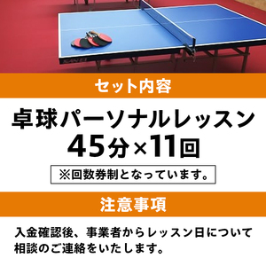 卓球パーソナルレッスン（45分×11回）【0075-003】岐阜県 可児市 スポーツ レッスン 体験 回数券 パーソナル  初心者 室内 大人 子供