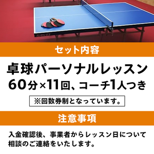 卓球パーソナルレッスン（60分×11回）コーチ１人【0075-004】岐阜県 可児市 スポーツ レッスン 体験 回数券 パーソナル  初心者 室内 大人 子供