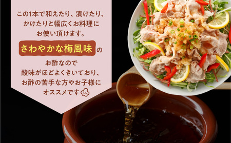 【5営業日以内に発送】ヒシク 藤安醸造 万能酢 500ml×6本 セット K026-015 調味料 スピード配送 最短 すぐ届く お急ぎ