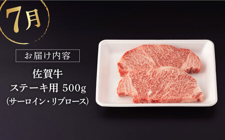 【定期便】 牛肉 佐賀牛 夏の定期便 NAB104 牛肉