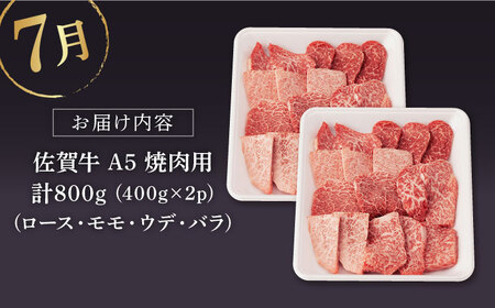 【定期便】 牛肉 佐賀牛 夏の定期便 NAB105 牛肉