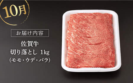 【定期便】 牛肉 佐賀牛 秋の定期便 NAB106 牛肉
