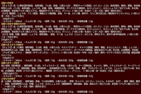 大阪王将 餃子de満腹バラエティセット(5種アソート)計28袋