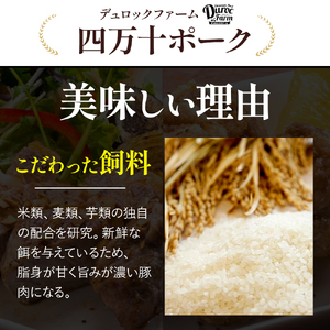 ◆丁度いい1.0㎏◆四万十町産◆新鮮国産ブランド豚こま切れセット 500g×2袋 国産豚肉 こま切れ 冷凍 小分け ／Adf-A24