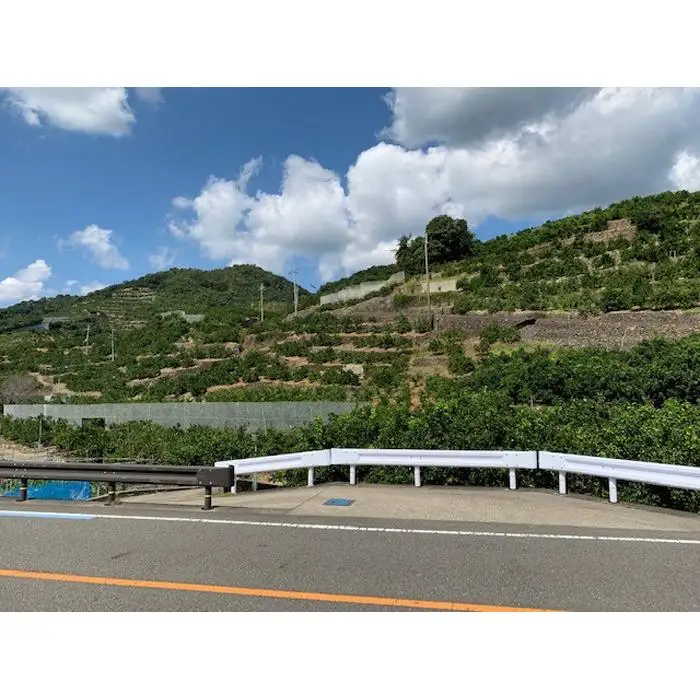 【数量限定】【赤秀特選品】有田みかん 約10kg（Lもしくは2Lサイズ）※サイズ指定不可