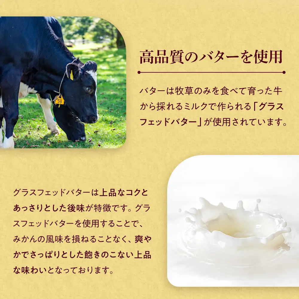 みかんバター 3本入 バター 果汁 食パン