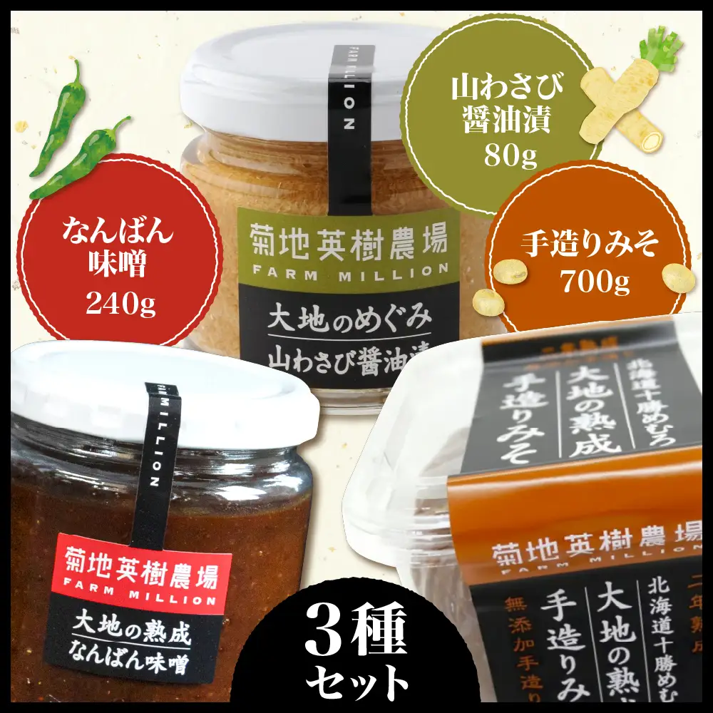 大地の熟成 手造り味噌 700g なんばん味噌 240g 山わさび 80g セット 十勝産大豆 調味料 わさび 味噌汁 ラーメン うどん パスタ 送料無料 北海道 十勝 芽室町me016-008c